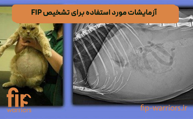 آزمایشات-مورد-استفاده-برای-تشخیص-FIP