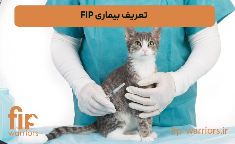 تعریف-بیماری-FIP