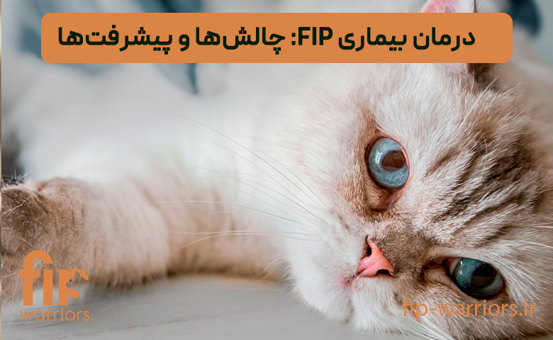 درمان-بیماری-FIP--چالش‌ها-و-پیشرفت‌ها