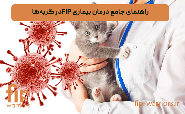 راهنمای-جامع-درمان-بیماری-FIP-در-گربه‌ها