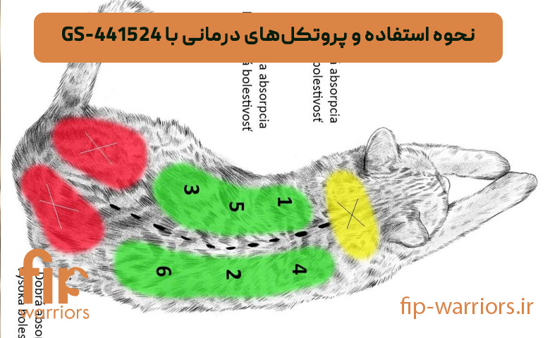 نحوه-استفاده-و-پروتکل‌های-درمانی-با-425144-SG
